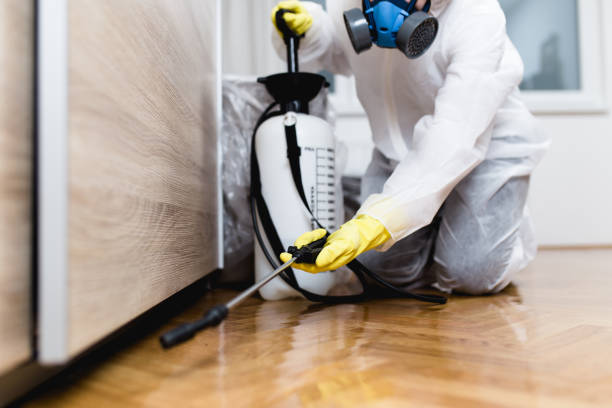 Best Commercial Pest Control Services  in Doffing, TX