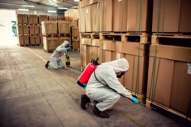 Best Pest Control Near Me  in Doffing, TX