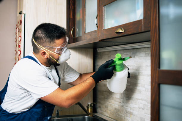 Best Ant Control Services  in Doffing, TX
