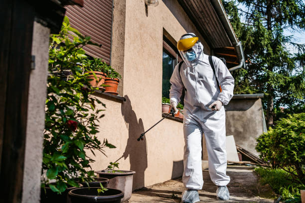 Best Residential Pest Control  in Doffing, TX