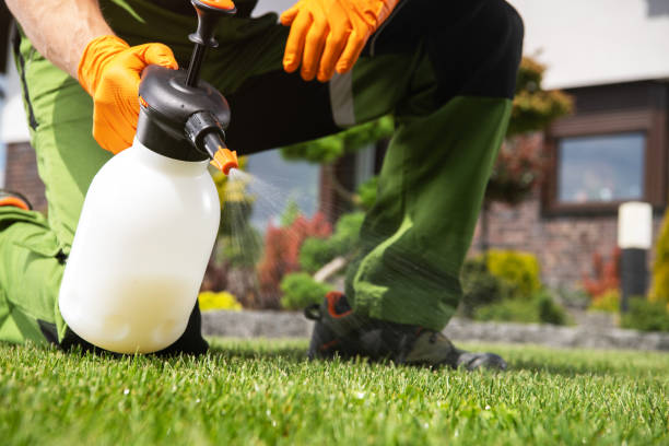 Best Affordable Pest Control Services  in Doffing, TX