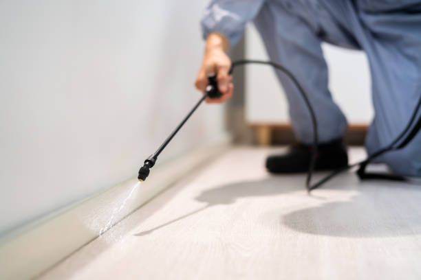 Best Local Pest Control Services  in Doffing, TX
