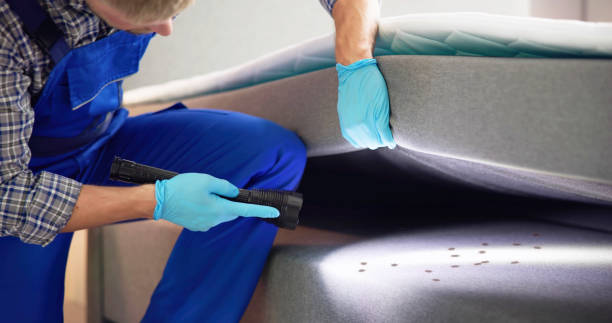 Best Bed Bug Extermination  in Doffing, TX