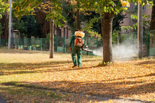 Best Affordable Pest Control Services  in Doffing, TX