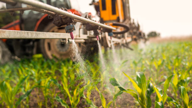 Professional Pest Control in Doffing, TX